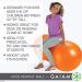 Gaiam Kids Peanut Bounce Desk Chair - Sensory Toy for Autistic Children - Flexible Seating for School - Yoga Balance Stability Ball - Boys and Girls Wiggle Seat - Buy Online on GoSupps.com