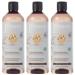 sarcia.eu ITINERA - Soothing body wash with oats from Veneto 95% natural ingredients 370 ml 3 pieces