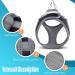 Small Puppy Dog Harness Set | Super Light No Pull Design | All Weather Comfort | Reflective | Black XXS Size - Buy Online on GoSupps.com