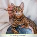 Four Paws Aloe Ear Mite Treatment for Cats - 0.75 Fl. Oz. | Healthy Promise - Buy Online on GoSupps.com