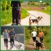 Premium Tavada Dog Leash for Large Dogs - 3m Adjustable Nylon with Double Carabiners - Ideal for Medium & Large Breeds - Black - Buy Online on GoSupps.com