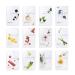 Eunyul Daily Care Aloe Face Mask Pack - 10 Vegan Masks Hypoallergenic Tencel & Natural Ingredients | Korean Skincare - Buy Online on GoSupps.com