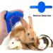 Bunny Grooming Kit: Rabbit Brush, Hair Remover, Nail Clipper, Comb & Bath Brush in Blue - Buy Online on GoSupps.com