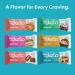 Kiss My Keto 12-Pack Chocolate Cookie Dough Protein Bars | 18g MCTs, 1g Sugar, 3g Net Carbs | Low Sugar, Low Carb Snack - Buy Online on GoSupps.com