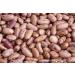 Hunza Organic Cranberry Beans - 2 lbs | Premium Quality, Pack of 1 - Buy Online on GoSupps.com