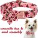 Unique Style Paws Flower Dog Collar - Red Pink Peony Comfortable Cotton XS Size (Neck 8-12in) - Perfect for Young Girls' Dogs - Buy Online on GoSupps.com