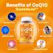 Sugar-Free CoQ10 Gummies 250mg - Vegan Heart Health Supplement with Omega-3 Vitamin B3 & Zinc - 60 Count 2-Month Supply - Buy Online on GoSupps.com