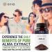 Ojio Amla Powder Extract - 3.53 oz (100 g) | Natural Superfood for Immune Boost & Skin Health - Buy Online on GoSupps.com