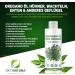 DKT-Natura Oregano Oil 500ml | 80% Carvacrol | High Dose for Chickens | Supports Digestion & Intestinal Flora | Aids in Parasite Control | Supplement for Chickens Pigeons Quail - Buy Online on GoSupps.com