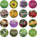 16 Bags 100% Natural Dried Flowers Herbs Kit for DIY Soap and Candle Making - Rose, Lavender, Jasmine, Rosebuds - 160g Total - Buy Online on GoSupps.com