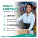 MODVEL XXL Back Brace with 6 Stays - Breathable Support Belt for Lower Back Pain Relief, Sciatica, and Work - Anti-Skid Lumbar Support for Men and Women - Buy Online on GoSupps.com