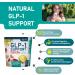KetoZest GLP-1 Support Drink Mix Powder - Women Men Weight Loss Support - GLP1 Support Prebiotic Fiber Supplement - Daily Natural Metabolism & Fat Burn Support - Reduce Bloating Gut - Buy Online on GoSupps.com
