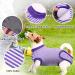 Breathable Post-Op Dog Body Shirt - Hjumarayan Medical Pet Shirt for Dogs & Bitches | Purple Striped Recovery Suit - Buy Online on GoSupps.com