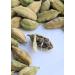 Premium Green Cardamom Pods 75g | Large 10mm Hari Elaichi | Fragrant & Fresh Whole Pods | Rich in Cardamom Seeds | Enhance Food Mood - Buy Online on GoSupps.com