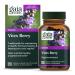 Gaia Herbs Vitex Berry, Chasteberry, Hormone Balance for Women, Vegan Liquid Capsules, Black 60 Count 60 Count (Pack of 1) Frustration-Free Packaging