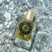 Schwarzlose Treffpunkt 8 UHR - Unisex EDP Spray Fragrance - Long Lasting and Captivating Perfume with Mango Ginger Sage Clary and Vetiver - Body Spray with Aromatic and Fruity Scent - 1.7 oz - Buy Online on GoSupps.com