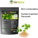 Go Nutra Ginkgo Biloba Powder 8 oz. | Pure Ginkgo Biloba Supplements Ginkgo Powder from Biloba Leaf (8oz.) - Buy Online on GoSupps.com