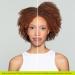 DevaCurl CurlBond Re-Coiling Mild Lather Cleanser - 12oz - Buy Online on GoSupps.com