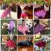 HYLYUN Small Dog Sweater - Classic Knitwear for Winter - Soft Warm Puppy Shirt - S (3-5 lbs) - Buy Online on GoSupps.com