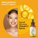 Ellao Vitamin C Serum for Face Anti-Aging Brightening Serum with Hyaluronic Acid & Vitamin E Target Dark Spots Even Skin Tone Reduce Fine Lines & Wrinkles 1 Fl Oz - Buy Online on GoSupps.com