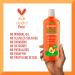Cantu Avocado Hydrating Conditioner with Shea Butter 13.5 oz (Pack of 2) - Unscented - Buy Online on GoSupps.com