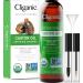 Cliganic 100% Pure & Natural Castor Oil 8 fl oz (240 ml)