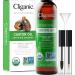 Cliganic 100% Pure & Natural Castor Oil 8 fl oz (240 ml)