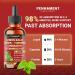 Penhoment 10in1 Lemon Balm Tincture with Ginger Root, Turmeric Liquid, Ceylon Cinnamon, Berberine, Black Pepper for Relaxation 3300mg - 1FL Oz - 60 Day Supply - Buy Online on GoSupps.com