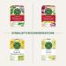 Traditional Medicinals - Organic Licorice Root Herbal Tea (Pack of 6) - Sustainably Sourced Fair Wild Licorice - 96 Tea Bags Total Tea Licorice Root 16 Count (Pack of 6) - Buy Online on GoSupps.com