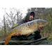 Tandem Baits Carp Food Boosted Hookers Carp Bait Carp Fishing Fishing Pop-Ups Carp Boilies Professional Carp Fishing Accessories 18mm 300g - Buy Online on GoSupps.com