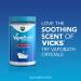 Vicks VapoShower 3 Count - Pack of 4 | Vaporizing Shower Tablets for Comfort and Relief - Buy Online on GoSupps.com