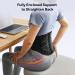 FREETOO Back Brace for Lower Back Pain Breathable Back Support Belt with Soft Pad for Men/Women for Work Lightweight Non-Slip Lumbar Support for Sciatica Herniated Disc Size L(waist:39"-45") L(waist:100-115cm) - Buy Online on GoSupps.com