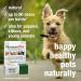 HomeoPet Anxiety Relief 15 ml | Natural Pet Calming Solution - Buy Online on GoSupps.com