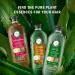 Herbal Essences Pure Plants Jojoba Oil Sulfate Free Conditioner Made for Air Drying Smoothing with Certified Camellia Oil and Aloe Vera For All Hair Types Especially Frizzy Hair 400 mL Unscented 400 ml (Pack of 1) - Buy Online on GoSupps.com
