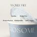 GLOSOME Off Smell Odor Removing Gel | Natural Deodorizer 100g | Home, Baby, Pets, Car, Closet | Made in Korea - Buy Online on GoSupps.com