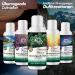 Nordholz Sauna Infusion | 48 Varieties of 100ml | #35 Royal Infusion - Natural Sauna Fragrance for Relaxation | Best Sauna Accessories - Buy Online on GoSupps.com