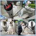 Adjustable Dog Seat Belt for Car Safety | Universal Fit Dog Harness - Black - Buy Online on GoSupps.com