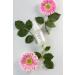 Buy Lunar Glow Vitamin C Hyaluronic Acid Serum - Natural Anti-Aging Face Serum 1 fl oz (30ml) | International Shipping Available - Buy Online on GoSupps.com