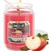 Candle-LITE Scented Candles Apple Cinnamon Crisp Fragrance One 18 oz. Single-Wick Aromatherapy Candle with 110 Hours of Burn Time Red Color (Individual Box) Apple Cinnamon Crisp (NEW) 18 oz