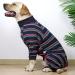 Surgical Recovery Suit for Dogs - Breathable Long-Sleeved Pajamas Postoperative Abdominal Wound Protection Alternative to Cone - One-Divider Design (1 Pack) - Buy Online on GoSupps.com
