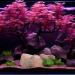 Ctpeng Aquarium Decoration Stone - Natural Look Decorative Rock & Hiding Place (25cm 13cm 7cm Resin) - Ideal Aquarium Accessories - Buy Online on GoSupps.com