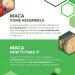 ERBOTECH Organic Peruvian Maca Powder 100g Bag Rich in Minerals Vitamin B Vitamin C Vitamin E Gluten Free Suitable for Vegetarians and Vegans - Buy Online on GoSupps.com