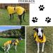 Greyhound Whippet Raincoat with Reflective Bar - Red, M Medium (56-58CM) | Waterproof Adjustable Vest for Stylish Greyhounds, Lurchers, and Whippets - Buy Online on GoSupps.com