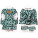 Etopars Cat Dishes & Leash Set | Adjustable Cat Vest & Outbreak-Proof Harness for Kittens & Puppies - XS Green - Buy Online on GoSupps.com
