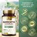 Quercetin Supplement 1000mg - Extra Strength Plant-Based Bioflavonoids - Premium Antioxidant Supports Immune & Respiratory Health - High Absorption Quercetin Dihydrate Formula - 60 Veggie Capsules 60 Count (Pack of 1) - Buy Online on GoSupps.com