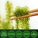 TASAMI Organic Sea Grapes Lato Seaweed Umibudo Green Caviar Superfood - 3.5 Oz (Pack of 5) | Boost Immune System & Health - Buy Online on GoSupps.com