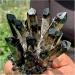 Natural Crystal Rough Crystals 1pc Black Phantom Quartz Crystal Cluster (Size : 800-850g) - Buy Online on GoSupps.com