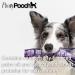 Pooch Tangle-Free Detangling Spray - Leave-In Conditioner for Dogs - 250ml - Buy Online on GoSupps.com