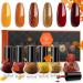 Modelones Nail Polish Set 6 Colors Autumn Winter Gold Glitter Red Nail Polish Orange Yellow Quick Dry Nail Varnish Finger Nail Polish Manicure DIY Nail Art Salon Home For Women Red Orange - Buy Online on GoSupps.com