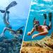 Zeeporte Dive Snorkeling Gear Set | Panoramic View Mask, Anti-Fog Snorkel, Dive Flippers & Gear Bag | Adults & Kids | Black M Flipper - Buy Online on GoSupps.com